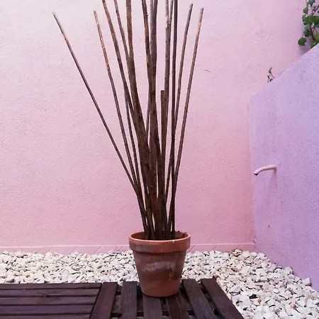 Just Chill'n Tejo * Lisbon